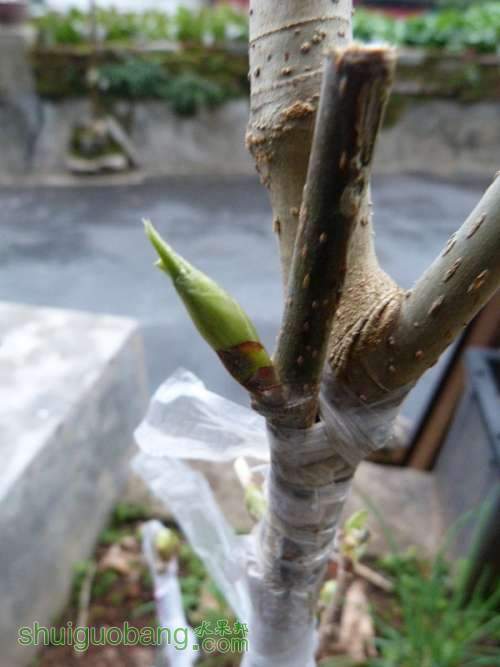 P1040694_.jpg