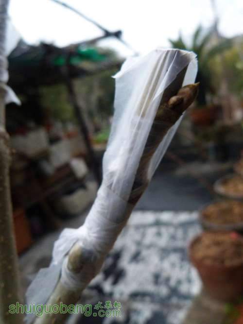 P1040703_.jpg