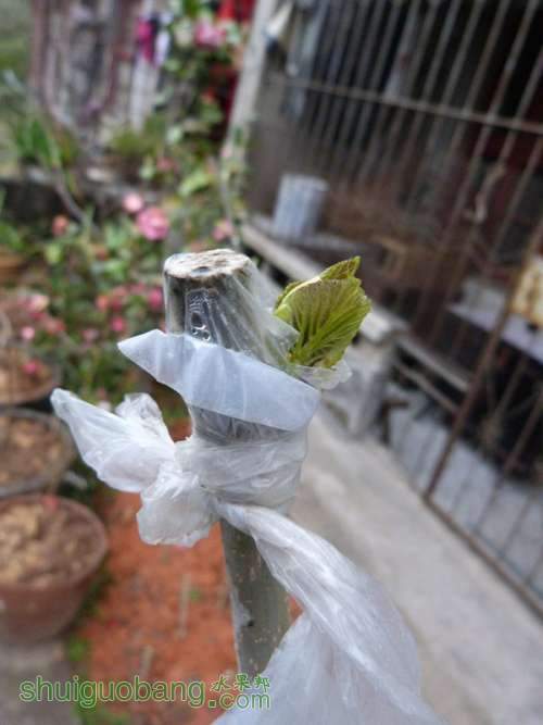 P1040706_.jpg