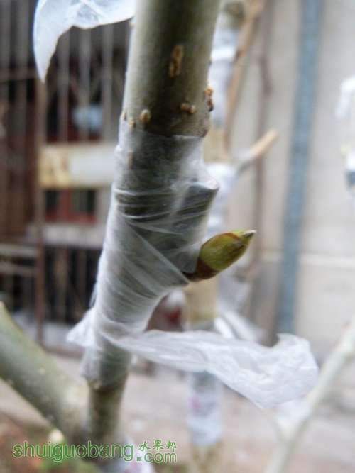 P1040712_.jpg
