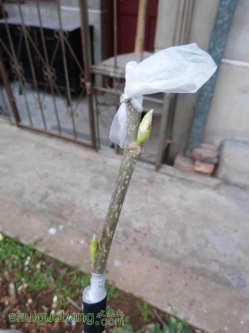 P1040715_.jpg