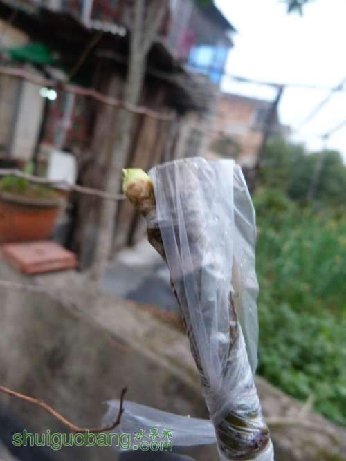 P1040736_.jpg