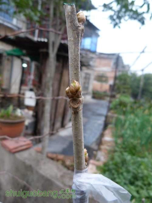 P1040737_.jpg