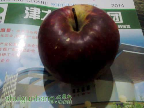 Ƭ0143.jpg