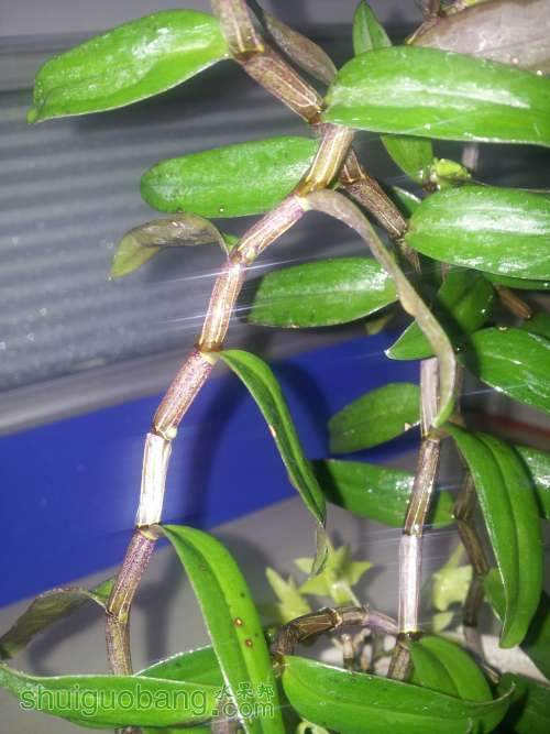 20140218_200043.jpg