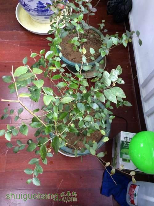 QQͼƬ20140219090616.jpg