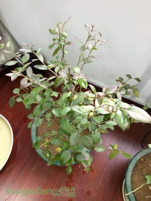 QQͼƬ20140219090612.jpg