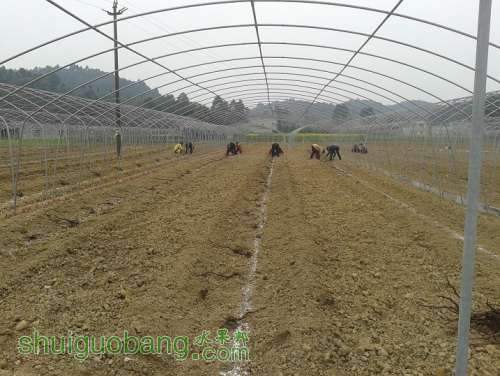 20140219_162436.jpg
