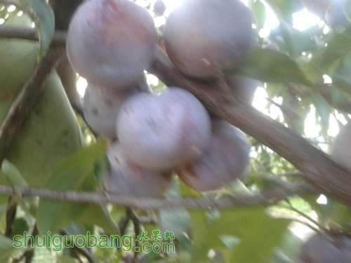 2013-08-09 19.22.38.jpg