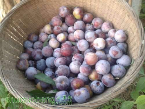 2013-08-09 19.32.19.jpg