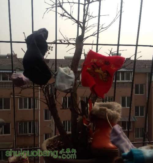 QQͼ20140222150055.jpg