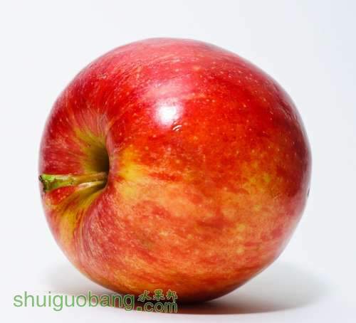 Red_Apple Wiki Flikr Abhijit Tembhekar Mumbai.jpg