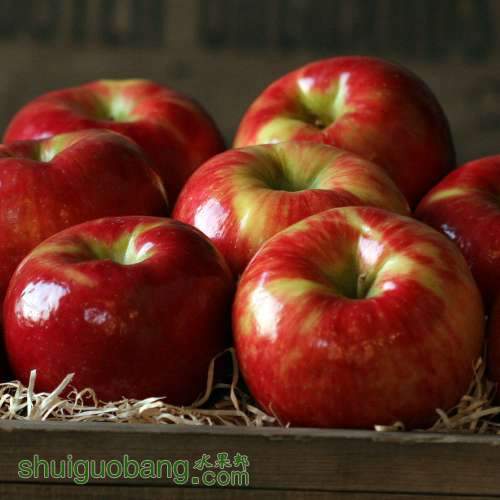 honey-crisp-apples.jpg