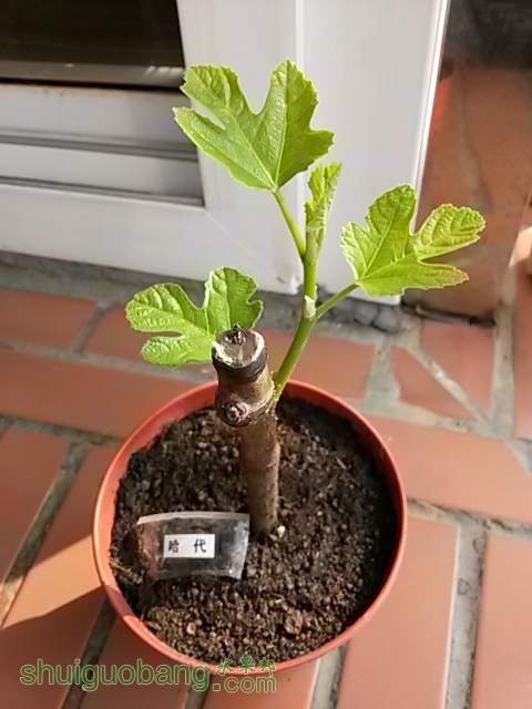 20140223_094506.jpg