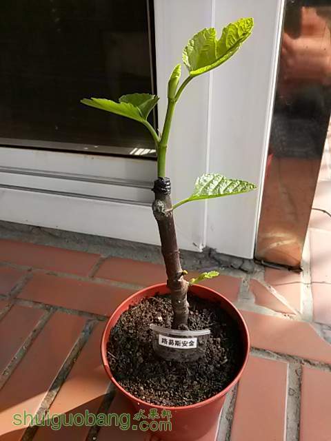 20140223_094223.jpg