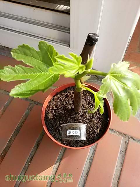 20140223_094409.jpg