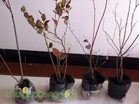 ������С ��ת IMG_0855.jpg