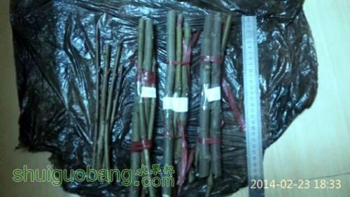 IMG_20140223_183323_HHT.jpg