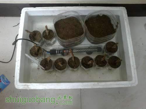 20140225367.jpg