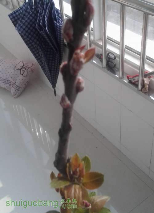 2014-02-20 12.11.00_764734.jpg