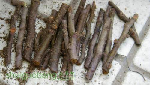 nEO_IMG_100_3810.jpg