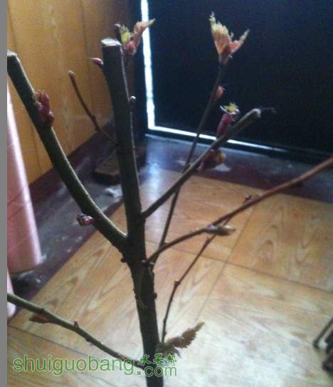 QQͼƬ20140227122112.jpg