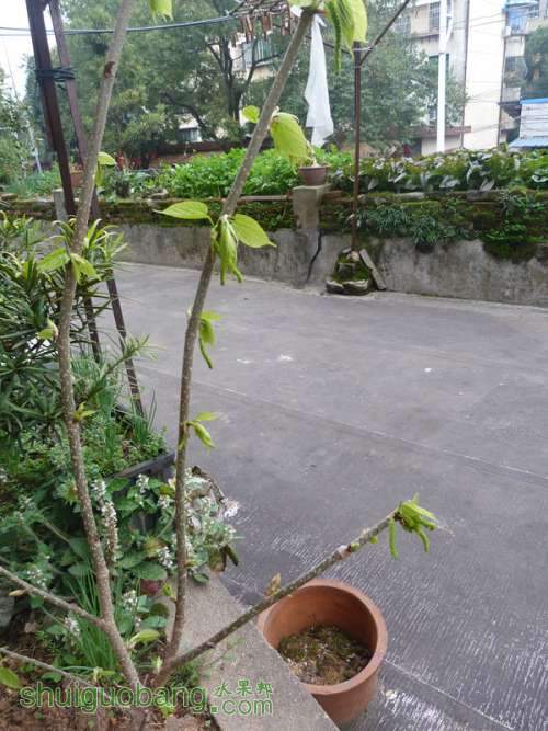 P1040838_.jpg