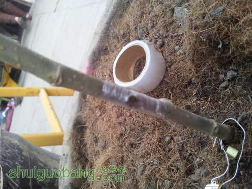 20140224_171904.jpg