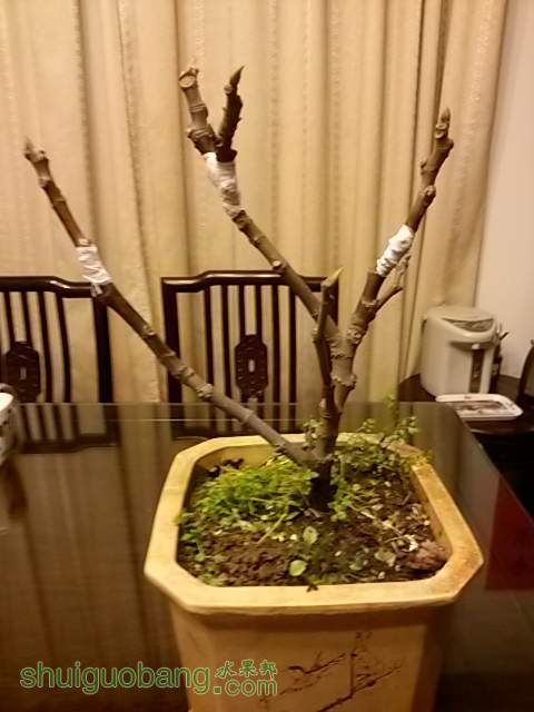 20140301_184627.jpg