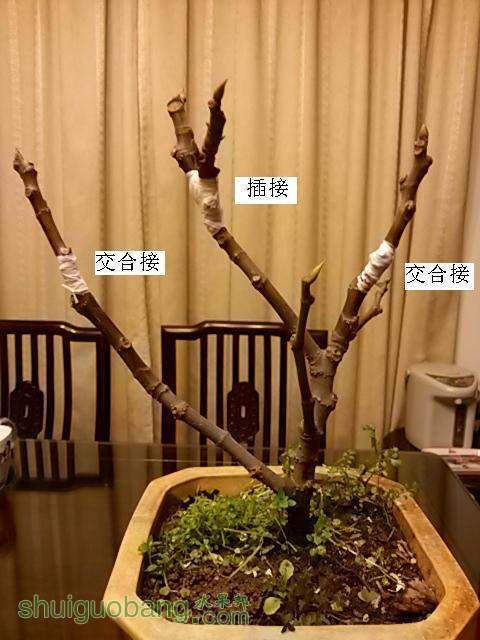 20140301_184704.jpg