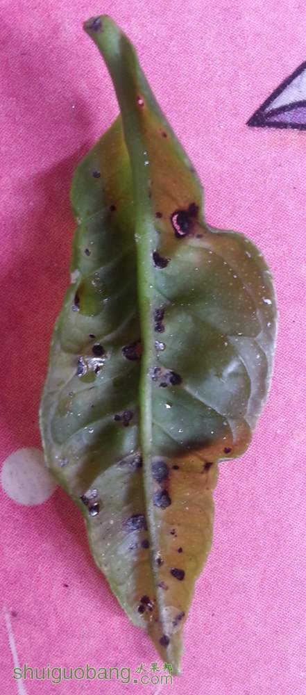 20140302_100624.jpg