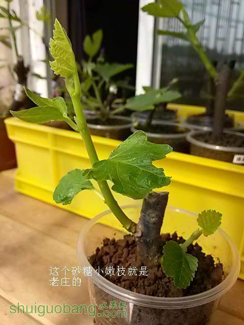 20140302_123304.jpg
