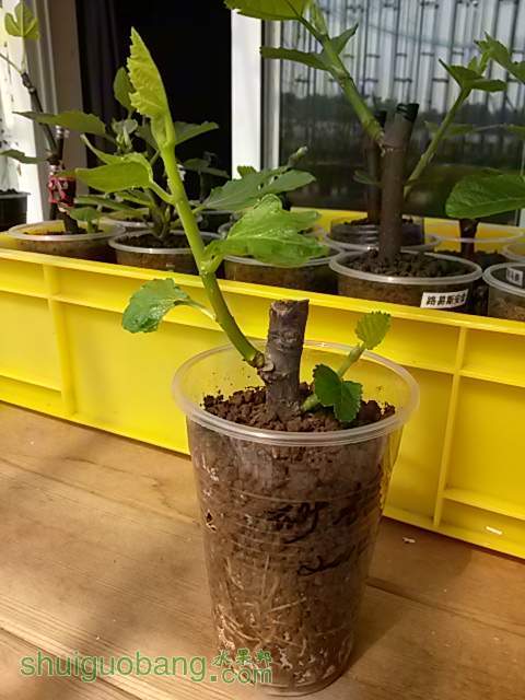 20140302_123250.jpg