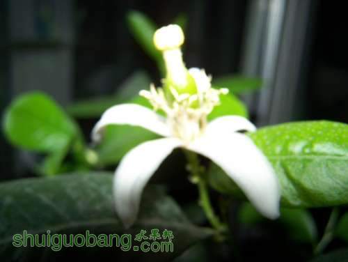 Ƭ 008.jpg