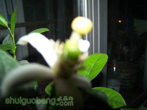 Ƭ 010.jpg