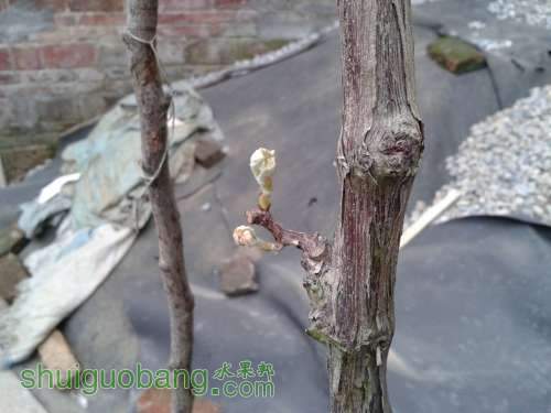 20140302_102518.jpg
