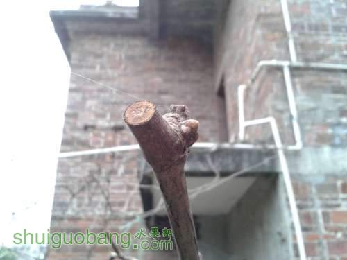 20140302_103153.jpg