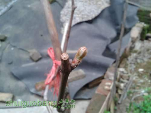 20140302_103345.jpg