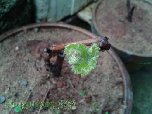 20140302_110020.jpg
