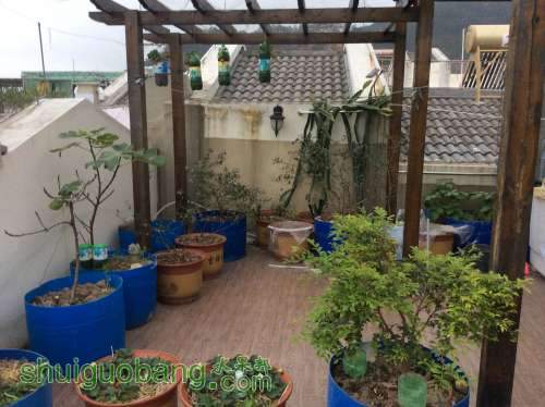 2014-02-28 181041.jpg