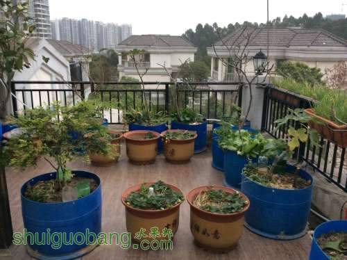 2014-02-28 181216.jpg