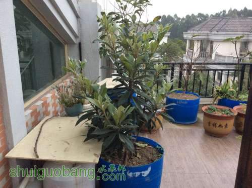 2014-02-28 181224.jpg