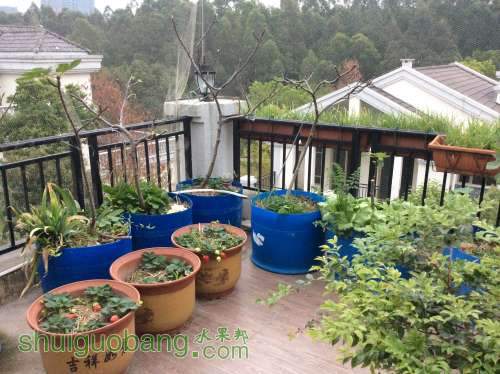 2014-02-28 181232.jpg