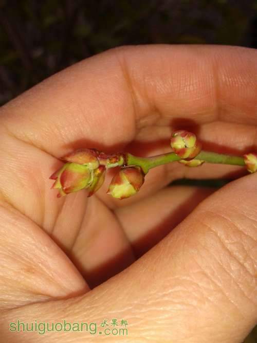 2011-01-01 08.47.51.jpg