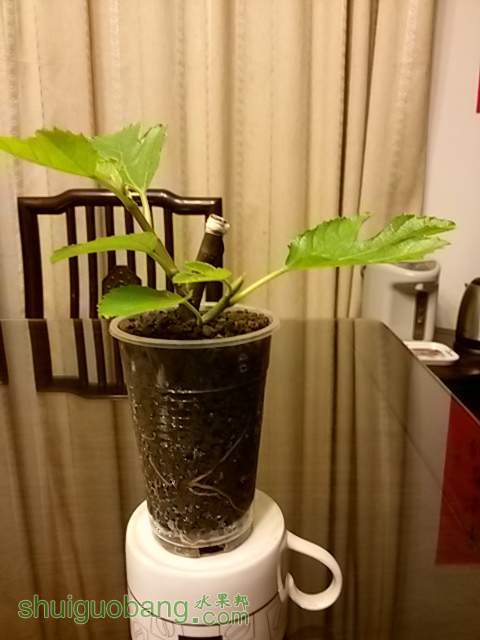 20140303_183912.jpg