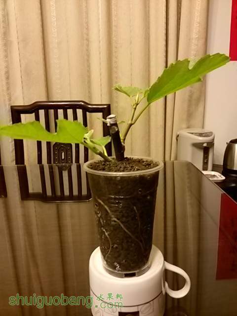 20140303_184008.jpg