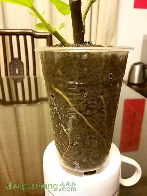 20140303_184022.jpg