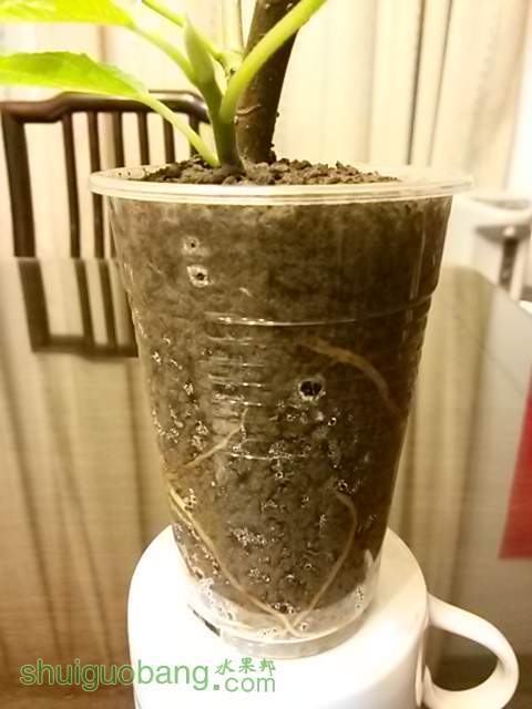 20140303_184107.jpg