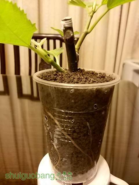 20140303_184252.jpg