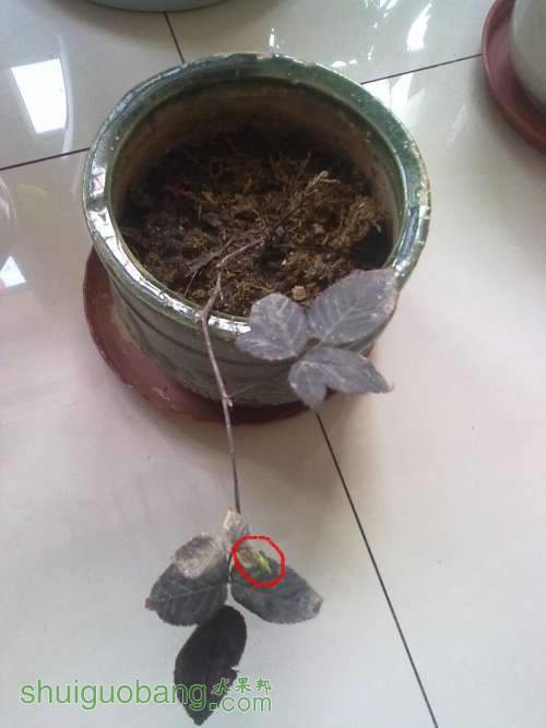 201403032687.jpg